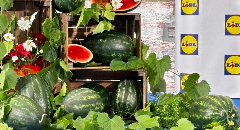 A LIDL és az Agrárminisztérium Bejelentette: indul a hazai dinnyeszezon - Agrotrend