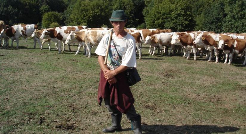 A modern rabszolgaságról szóló magyar film nyert Kassán - kultura.hu
