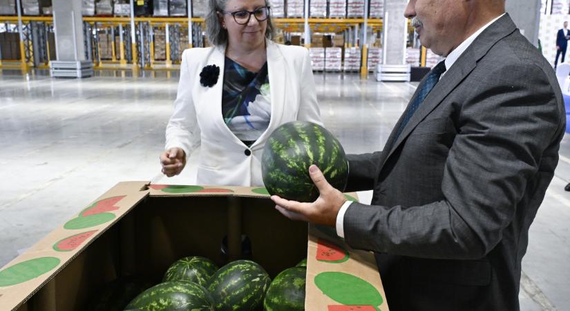 Felére esett a dinnyeimport – előretört a hazai sárga - MFor