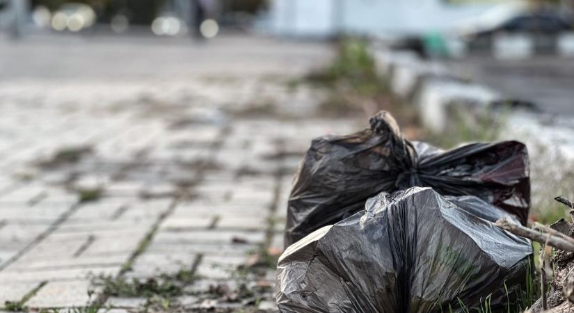 Fekete zsákot hajított ki az autóból – szörnyű dolog rejtőzött benne Kisvárdán - Szon