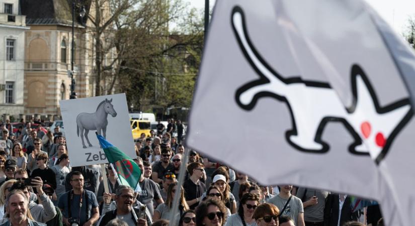 Megvannak a Kétfarkú Kutya Párt listavezetői - 24.hu