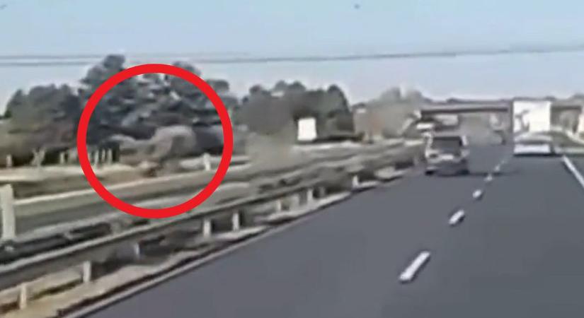 Videón a horrorbaleset: lerepült az M1-esől, levegőben pörgött a kocsi - Kemma