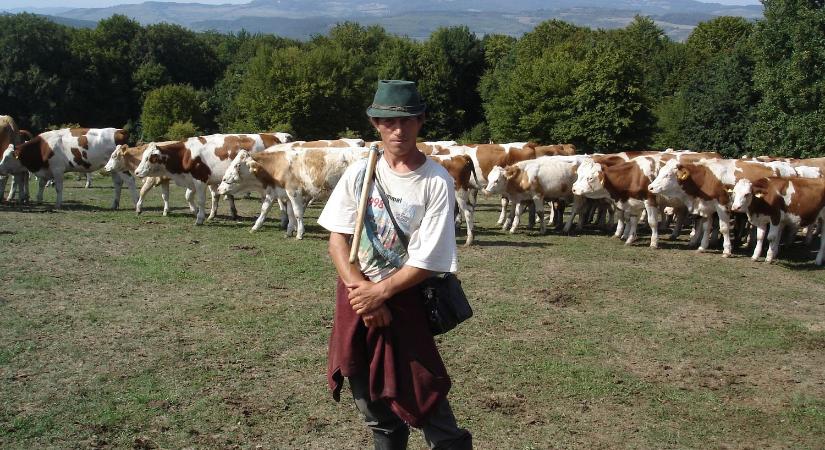 Díjat nyert a Szolgának születtem című dokumentumfilm a kassai Art Film Fesztiválon - Felvidék.ma