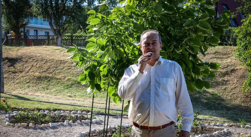 Zarándokhellyé válhat a Szekszárdon felavatott rózsakert (képgalériával) - Teol