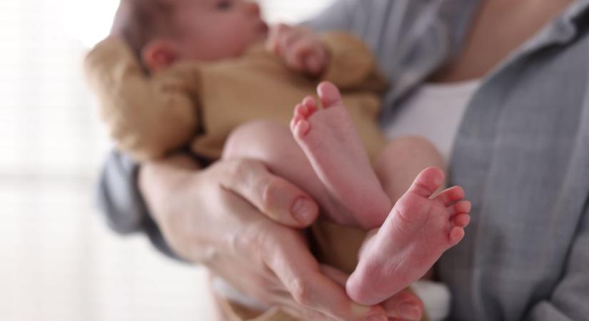 Veszprémben született babák hoznak reményt: Gvendolin, Zorka és Kevin - Veol