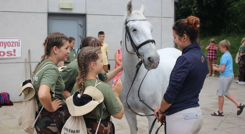 Lézerharcra is jutott idő a lovak ápolása mellett a szilvásváradi honvédelmi táborban - Heol
