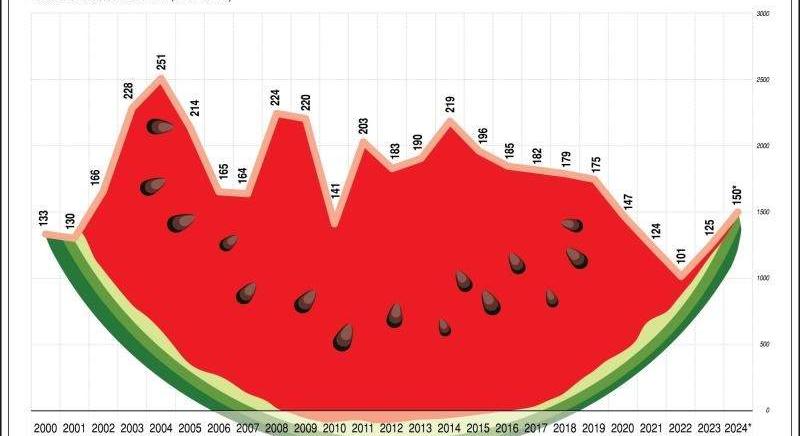 Jó minőségű dinnyével indul a magyar dinnyeszezon