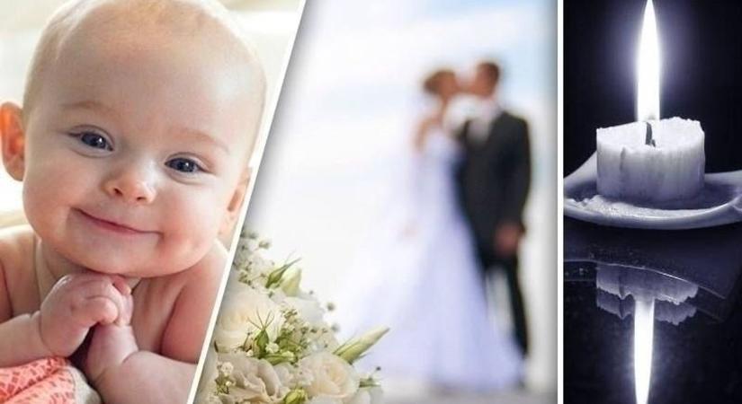 Sűrűn jött a gólya – kilenc kisbaba született a kisvárosban