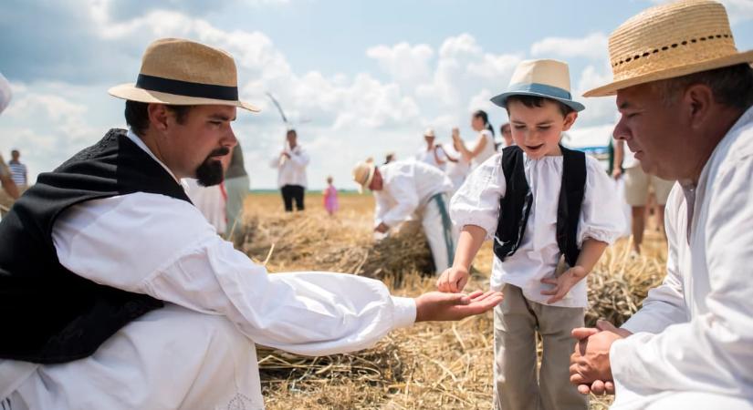 Aratónap Mohács 2025