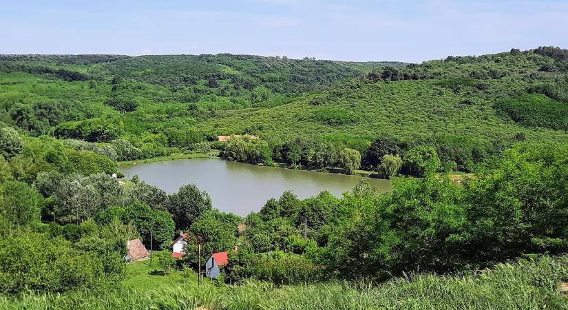 Tolna vármegye nyugodt szigete – a Hőgyészi horgásztó és környéke