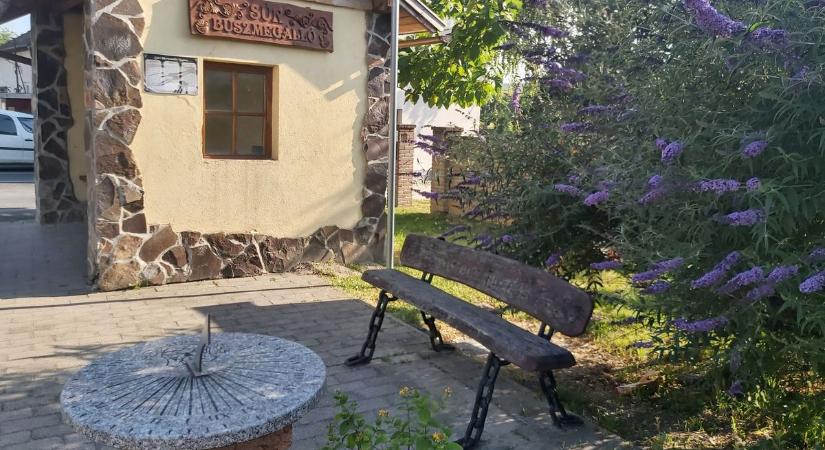 Megtaláltuk az ország legpontosabb buszmegállóját: itt mindig tudod, hogy áll a menetrend