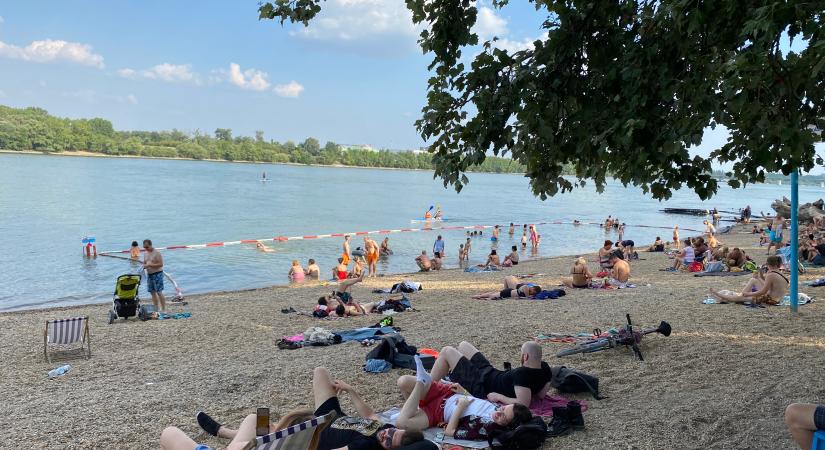 Négy ingyenes szabadstrand nyílhat a fővárosban