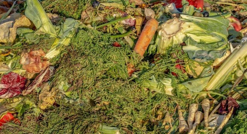 Miért nem szemét a banánhéj? – Komposztálás városi környezetben