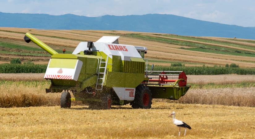 Az őszi árpát aratják elsőként Hargita megyében
