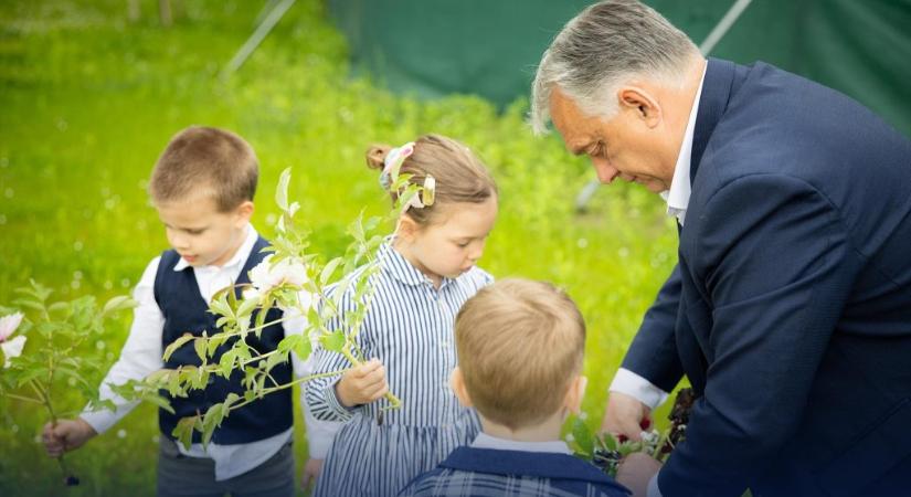 Orbán és a fideszesek is megmutatták, a Pride helyett ők mire büszkék