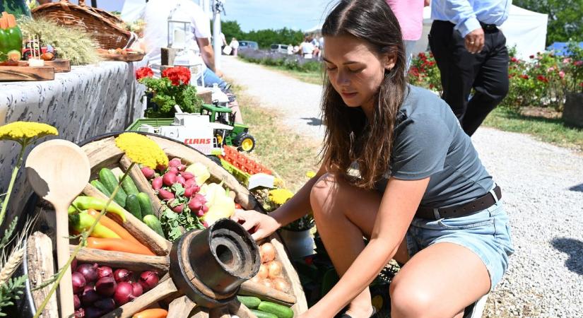 Floridába is vittek már ezekből a somogyi kosárkákból