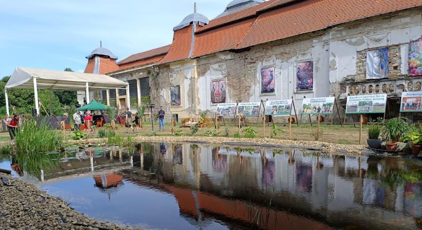 Vármegyei vadásznap a grófi fák árnyékában