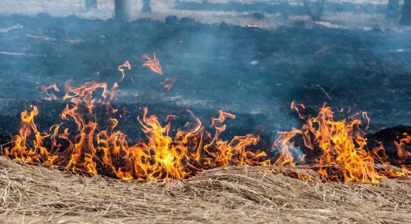 Tűz Zalaegerszegen, víz Nagykanizsán – ma sem unatkoztak a zalai tűzoltók