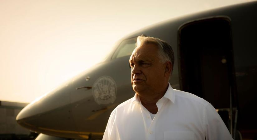 Óriási blamázs: szinte a teljes balos értelmiség lejáratta magát, Orbán hátradőlhet