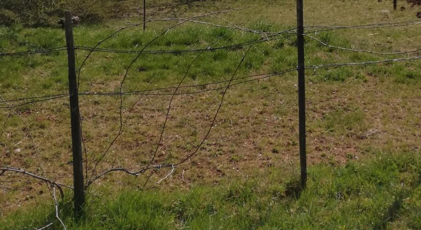 Sivataggá lett Alföld és a magyar szuverenitás csapdája - a volt miniszter szerint nagy a baj