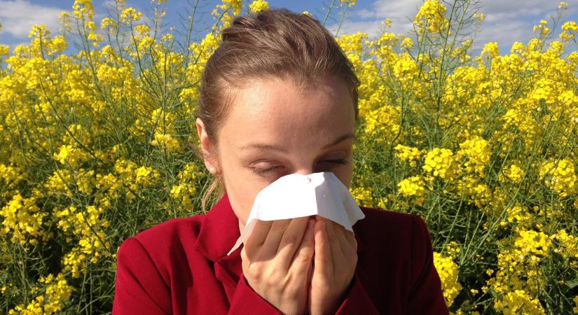 Így segíthetnek átvészelni az allergiaszezont a modern háztartási gépek