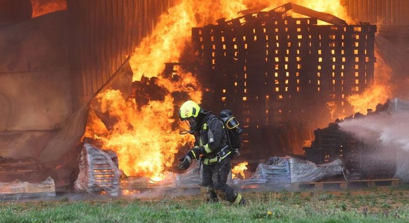 Pécsi tűzoltó lett az ország legjobbja – Kálmán Dánielre most mindenki büszke lehet!