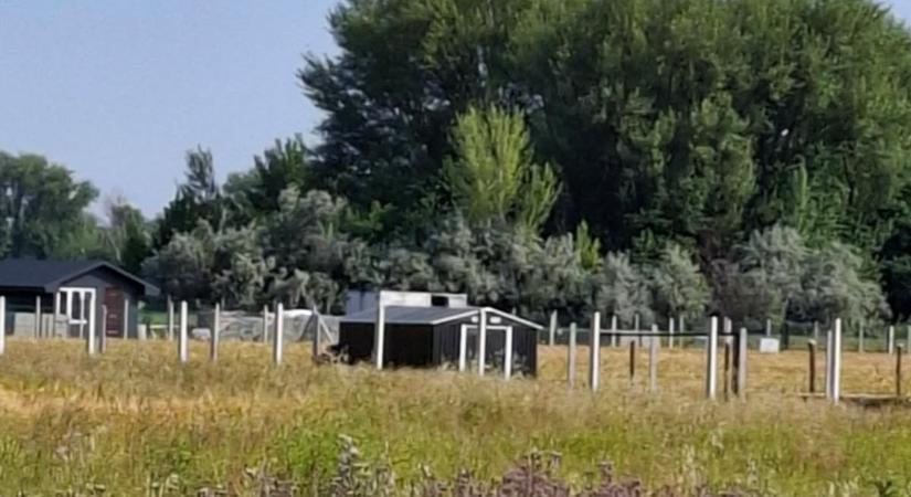 140 építési telkes lakópark népesülhet be Sopron közelében