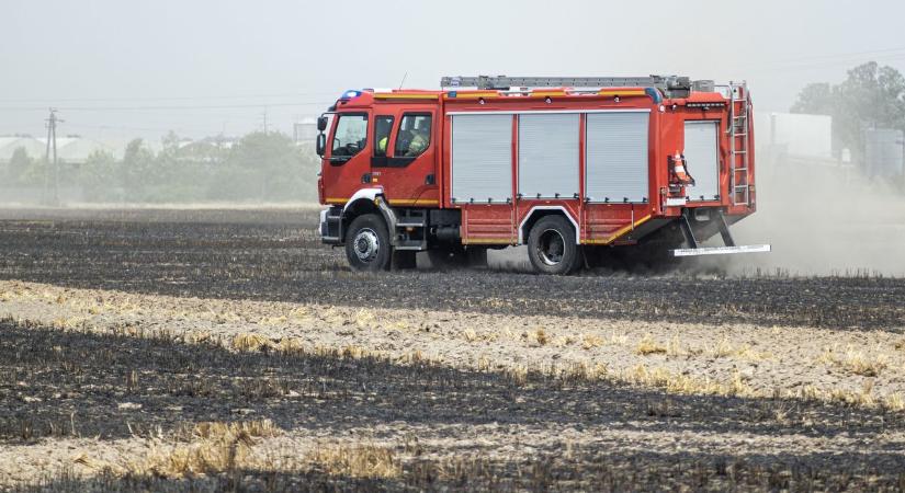 Több mint nyolcszáz körbála borult lángba, menekítették az állatokat