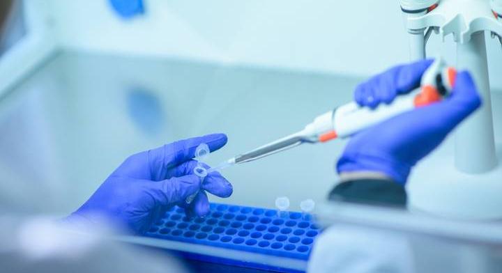 Emberszív dobog a labormalacban: így végződött a kínai kísérlet