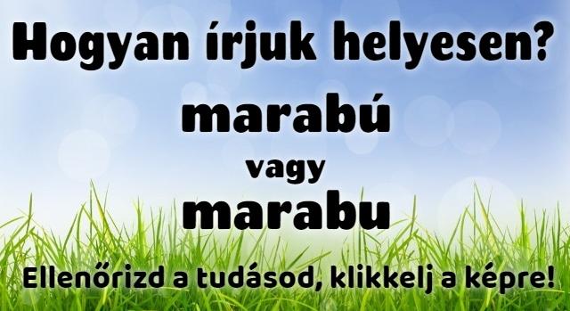 Napi helyesírás feladat: Tudod hogyan írjuk helyesen?