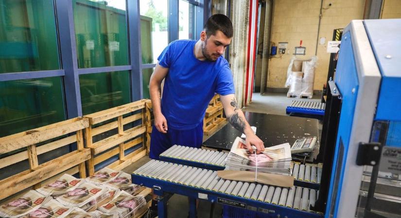 Diákmunka nyáron? Ezek a szabályok nélkülözhetetlenek