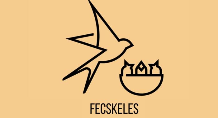Szúnyogírtás és fecskeles – Nyertes ötletek a közösségi költségvetésből