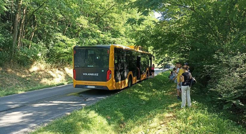 Lerobbant busz bénította meg a baranyai közlekedést vasárnap
