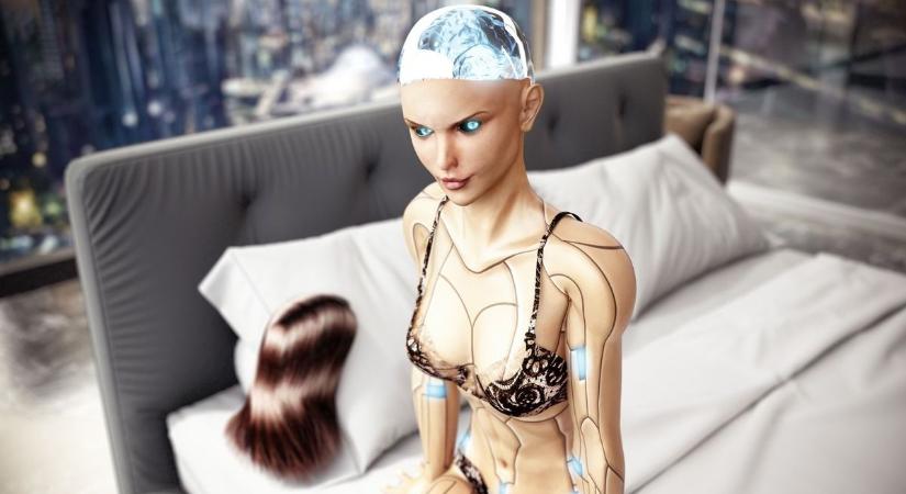 Szexrobotokat lehet bérelni egy berlini bordélyházban