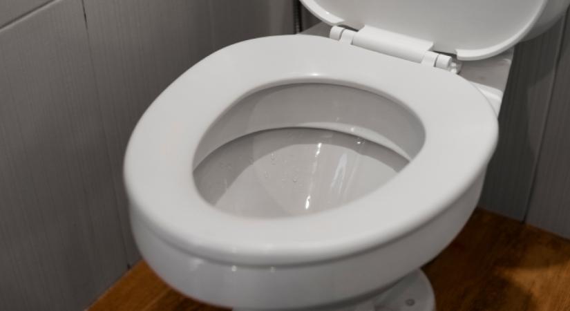 Ez a dolog a házban több bacit rejt, mint a WC-ülőke: veszélyesebb, mint gondolnánk