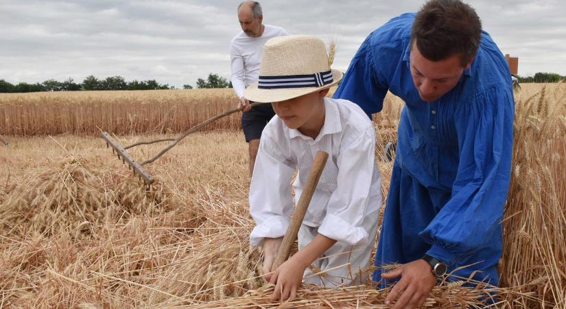 Kemény kihívást teljesítettek a versenyzők az apáti határában – videóval, galériával