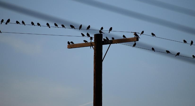 Az energiaiparban kétszer akkora volt a drágulás, mint a feldolgozóiparban