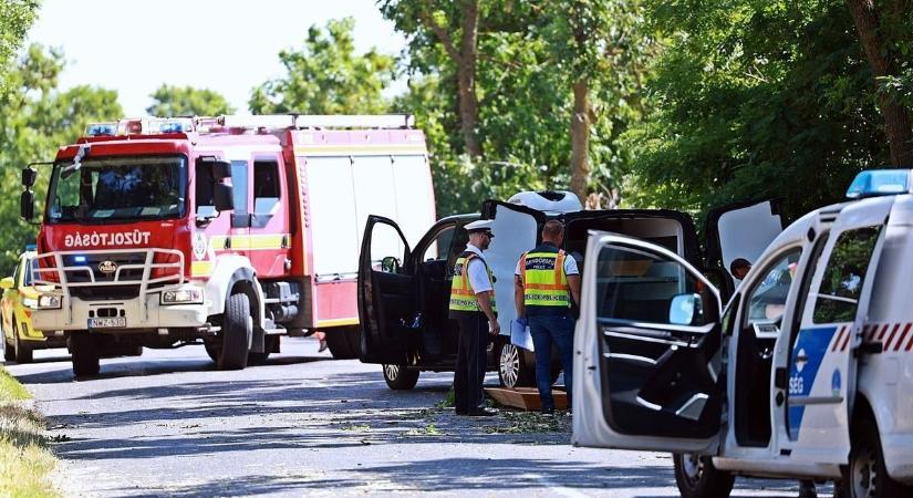 Út menti fa lett a végzete – fiatal anyuka halt meg a kanyarban
