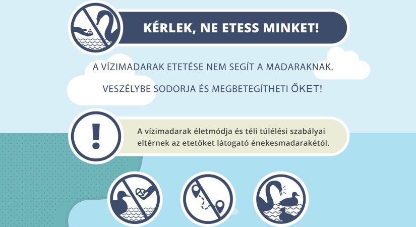 Lakossági felhívás – ne etessük a vízimadarakat!