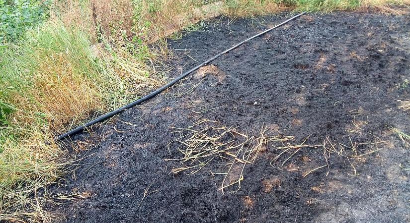 Tragikus balesetek, vegetációs tüzek történtek a hétvégén