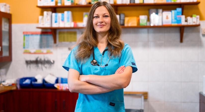 Állatorvos mondja el, hogyan kell helyesen ápolni a macska fogait
