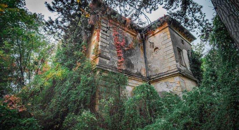 Gyilkosság és öngyilkosság melegágya a balatoni Fekete kastély