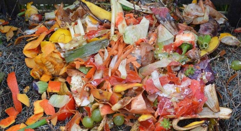 Mit dobjon a komposztba – és mit ne? Praktikus útmutató