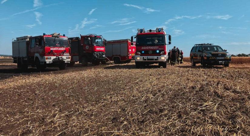 Méteres lángokkal égett a lábon álló búza Tamási határában