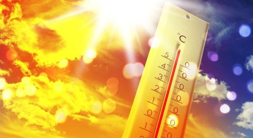 Tombol a kánikula, a tisztifőorvos azonnal lépett