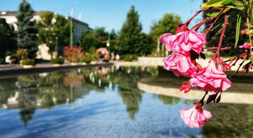 Dunaújváros időjárása durván megtréfál a héten