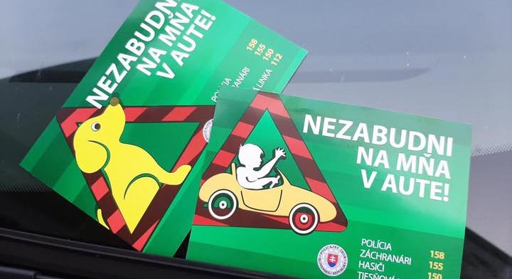 Újraindul a „Ne felejts az autóban!” rendőrségi kampány