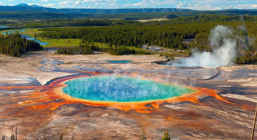 Élve, a turisták szeme láttára főtt meg a termálforrásba tévedt bölény