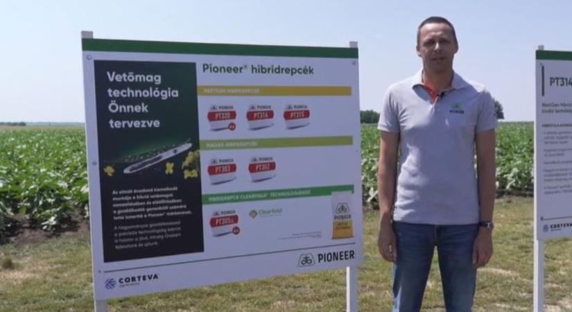 Újgenerációs repcehibridek kiváló tulajdonságokkal  VIDEÓ
