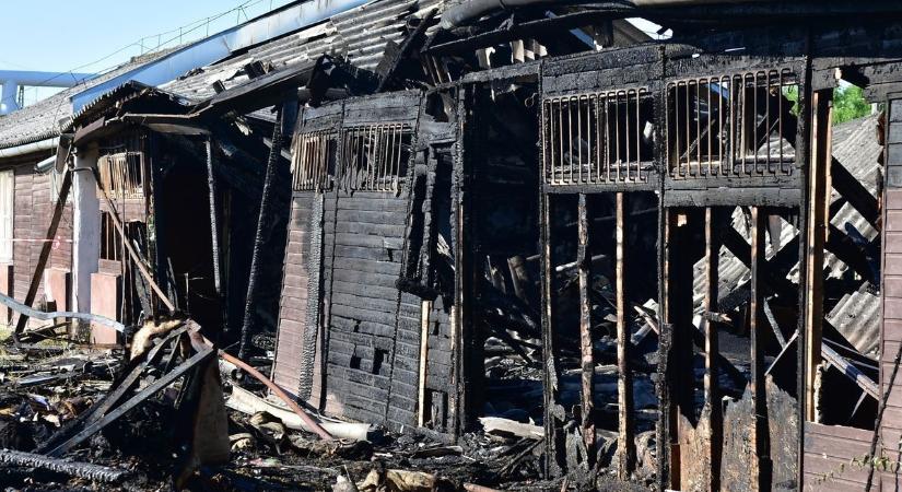 Megszólalt a rendőrség a Furkó Kálmán edzőterem leégése kapcsán, meglepő választ adtak